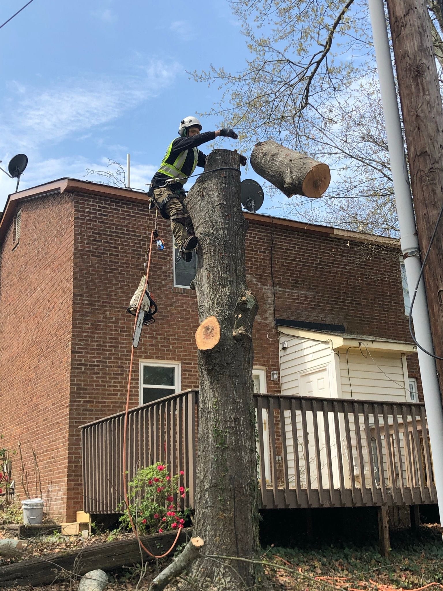 Arborist Gaston