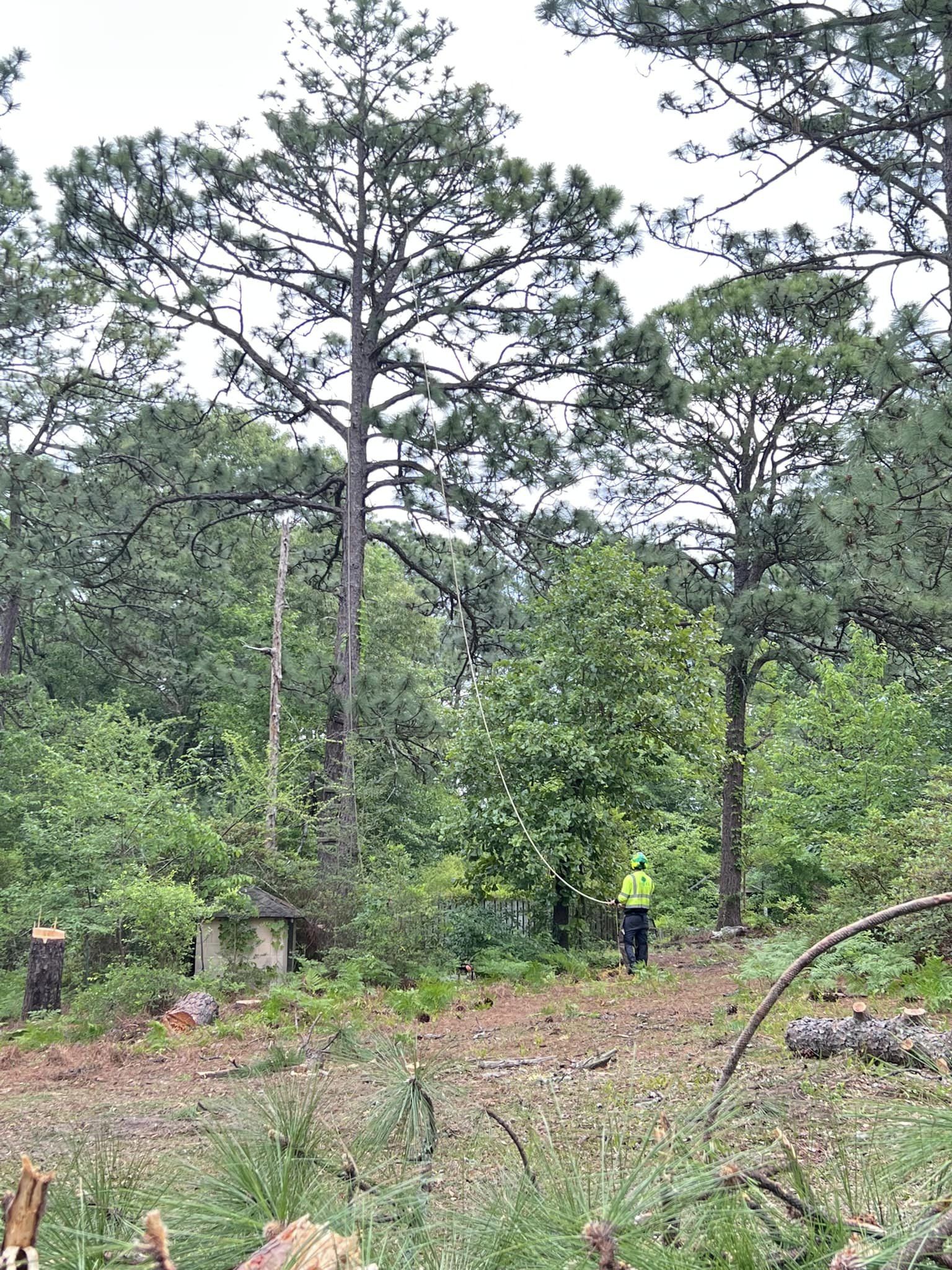 Irmo South Carolina Mulching